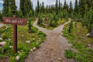 Wie finde ich heraus, was ich will